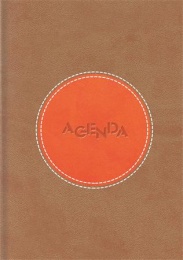 Naptár, tervező, A5, napi, DAYLINER "Central", barna-narancs